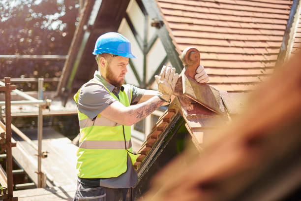 Roof Gutter Cleaning in Golden Glades, FL
